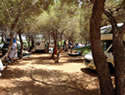 Camping del Capo