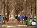 Camping del Capo