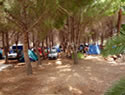Camping del Capo