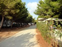 Camping del Capo